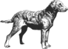 Chesapeake Bay Retriever Clip Art